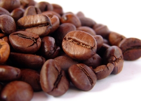 Robusta